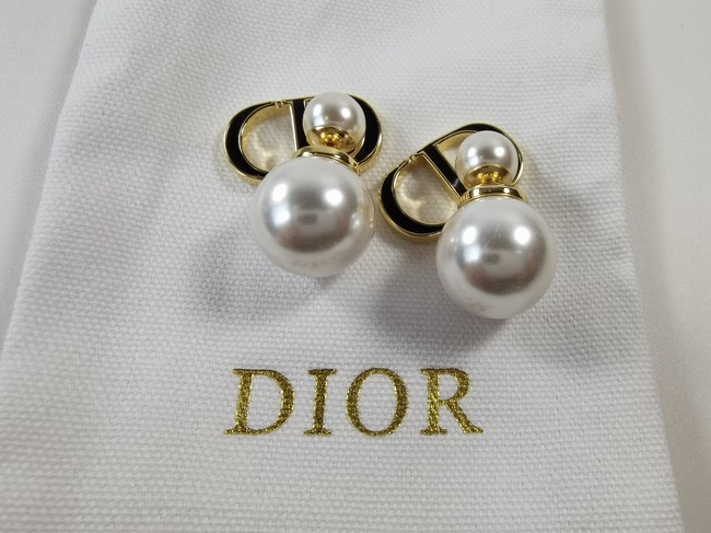 Dior Earrings CE11444