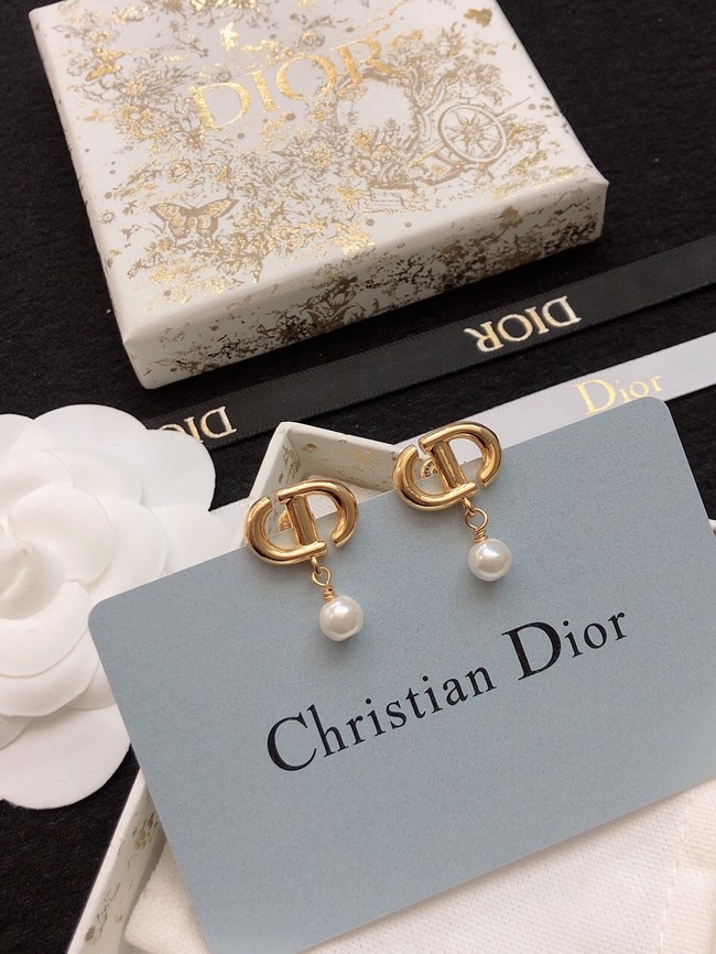 Dior Earrings CE11470