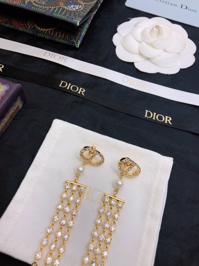 Dior Earrings CE11659