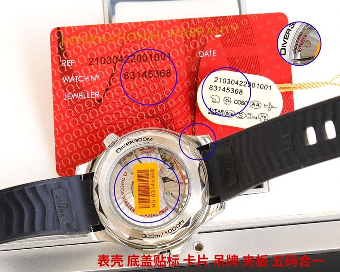 Omega Watch OMW00759