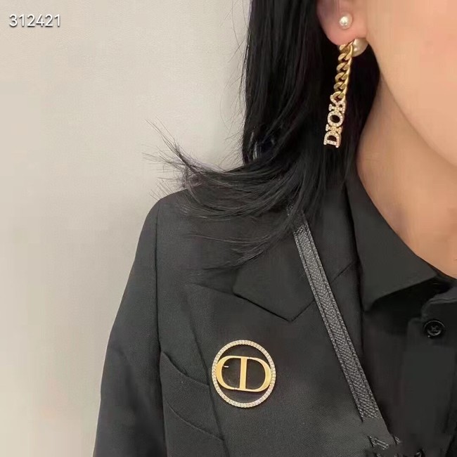 Dior Earrings CE11709