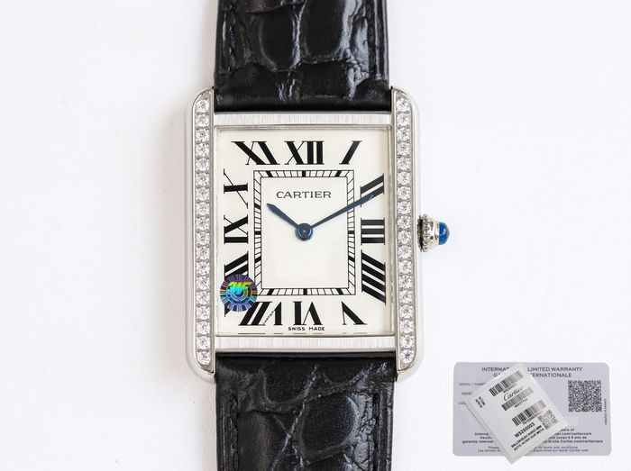 Cartier Watch CTW00209-1