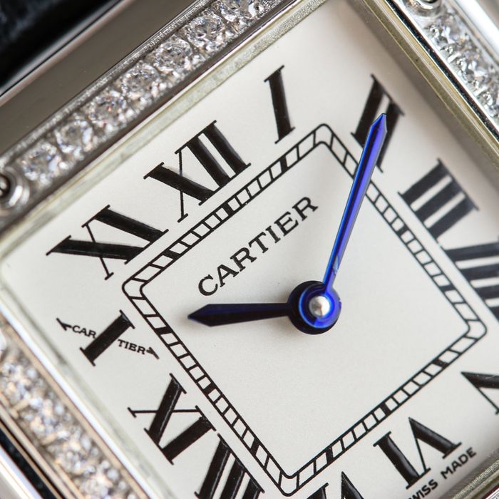 Cartier Watch CTW00259-1