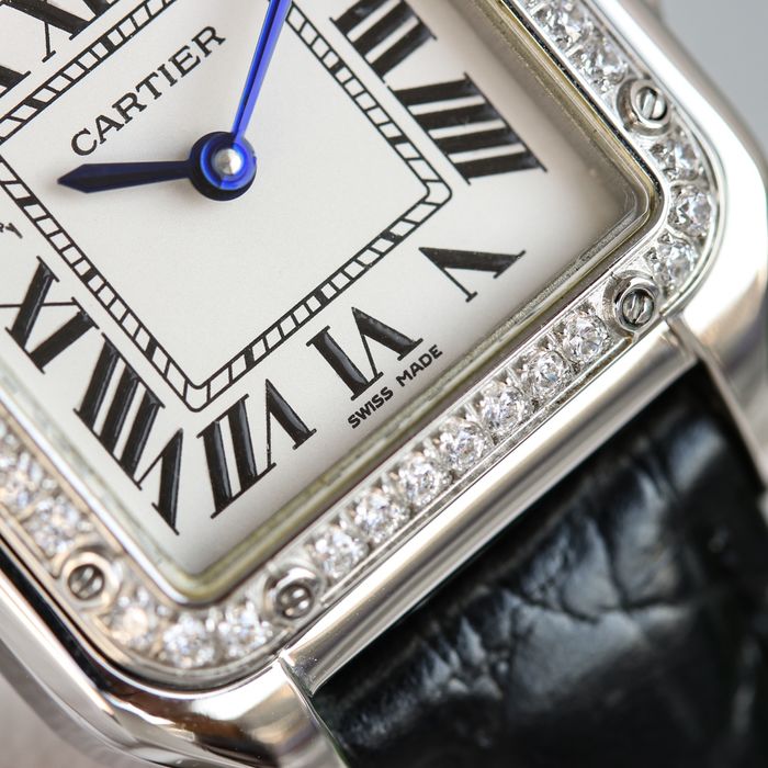 Cartier Watch CTW00259-1