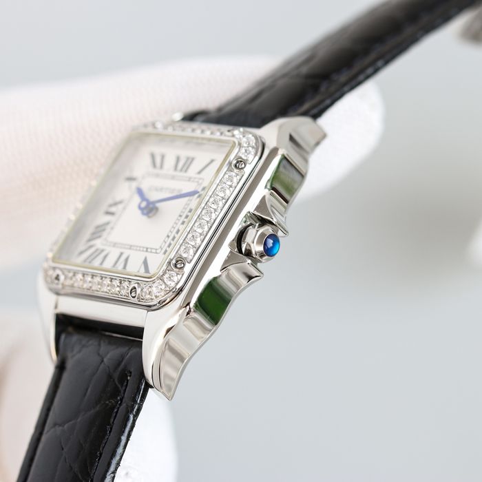 Cartier Watch CTW00259-1