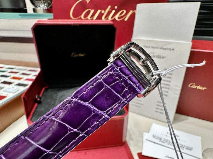 Cartier Watch CTW00333