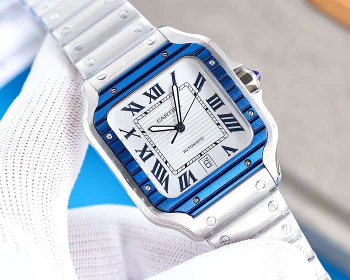 Cartier Watch CTW00354-1