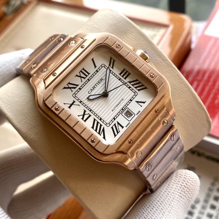 Cartier Watch CTW00359-1