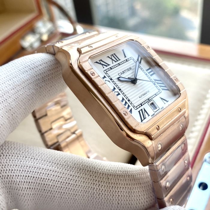 Cartier Watch CTW00359-1