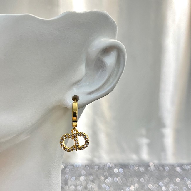 Dior Earrings CE11789