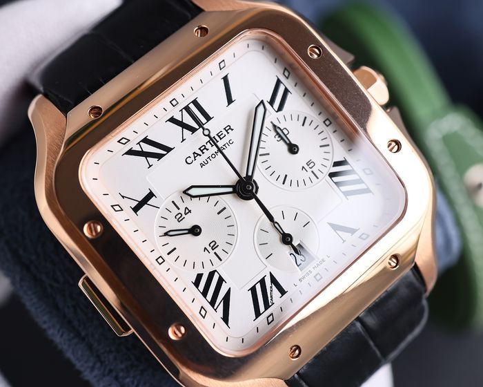 Cartier Watch CTW00518-1