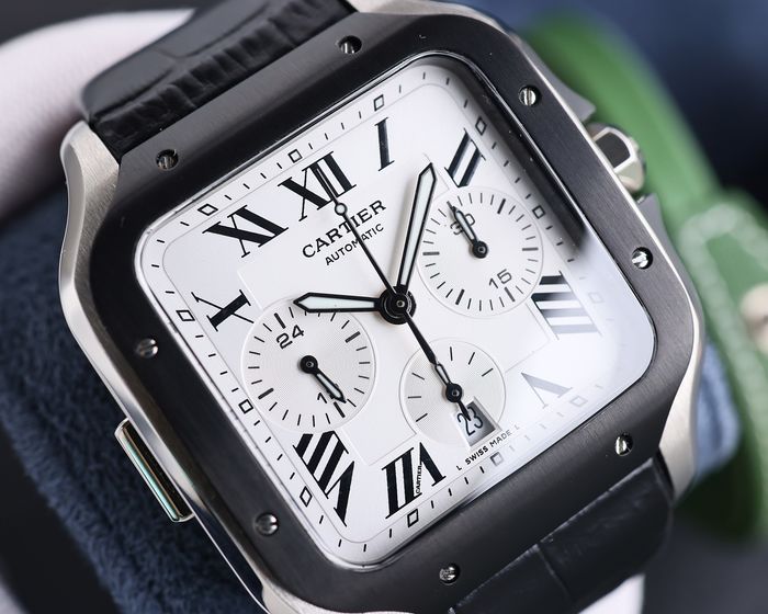 Cartier Watch CTW00519-1