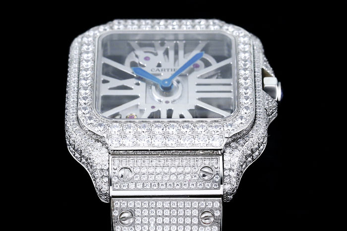 Cartier Watch CTW00661