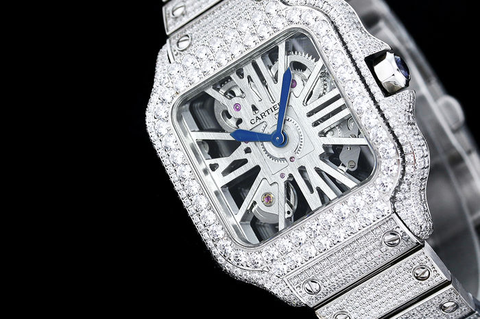 Cartier Watch CTW00661