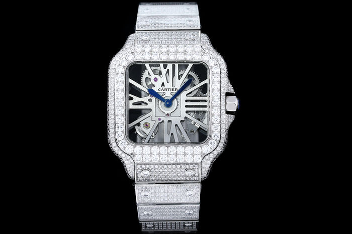 Cartier Watch CTW00663