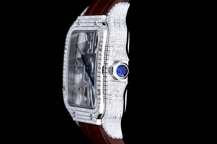 Cartier Watch CTW00665