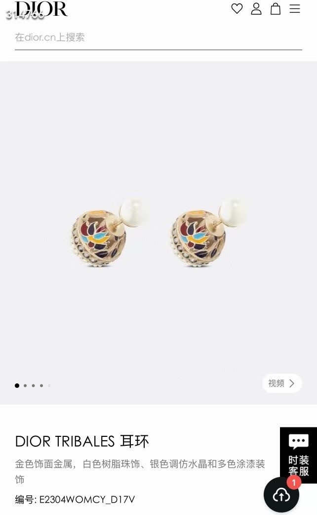 Dior Earrings CE11860