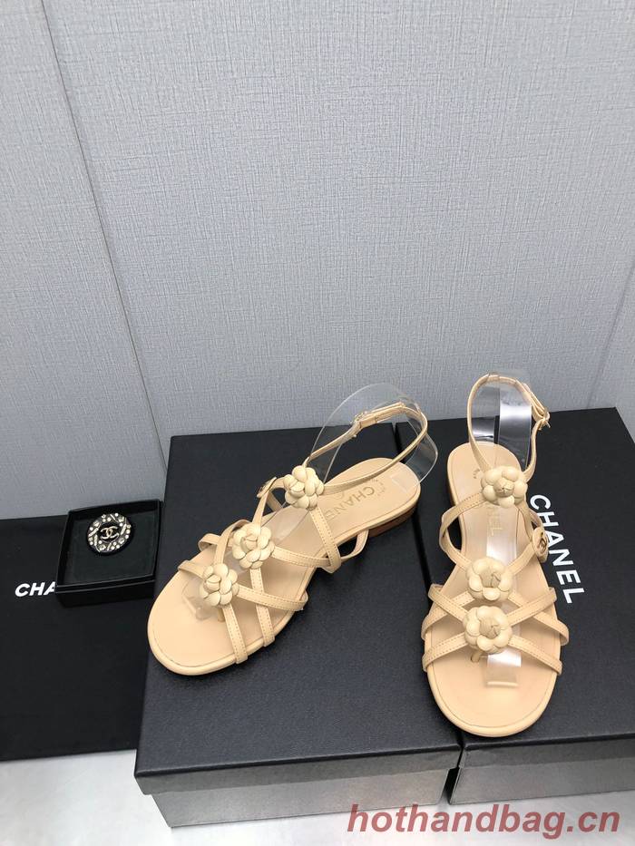 Chanel Shoes CHS00815