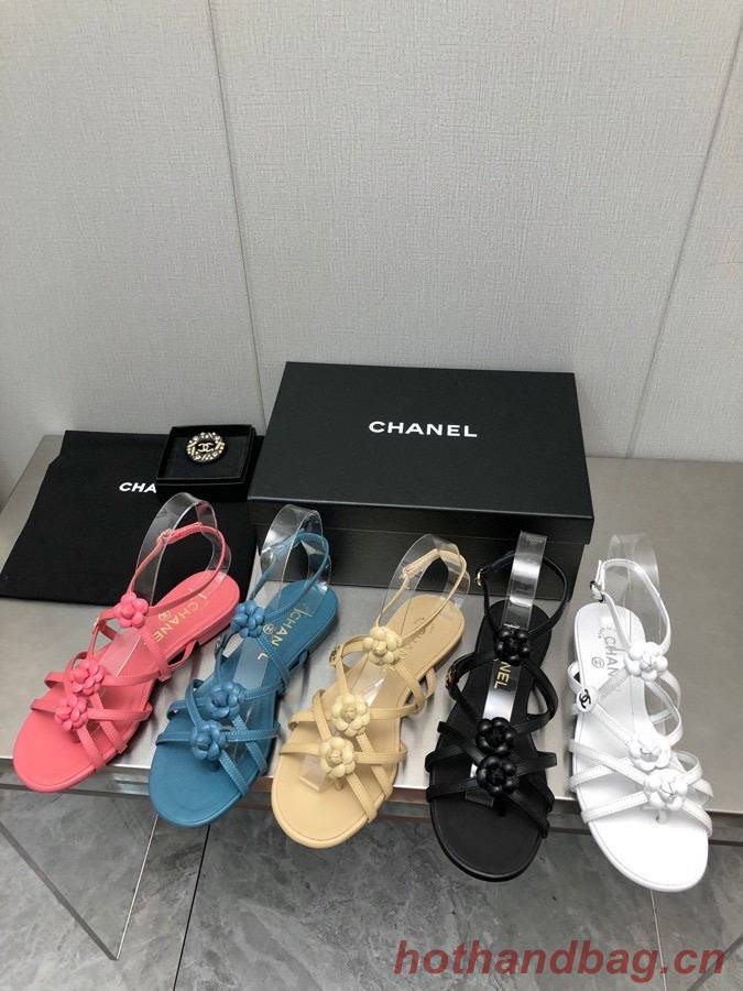 Chanel Shoes CHS00815