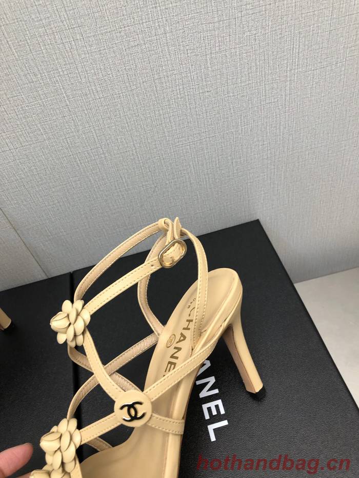 Chanel Shoes CHS00820