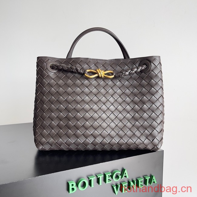 Bottega Veneta Medium Andiamo 743572 Taupe grey