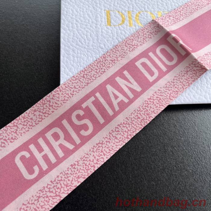 Dior Scarf DIC00153