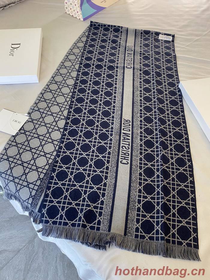 Dior Scarf DIC00156