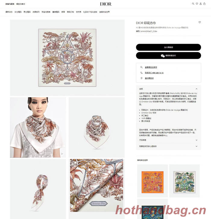 Dior Scarf DIC00174