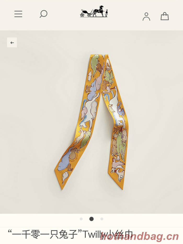 Hermes Scarf HEC00567