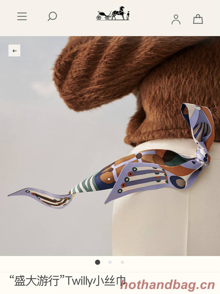 Hermes Scarf HEC00572