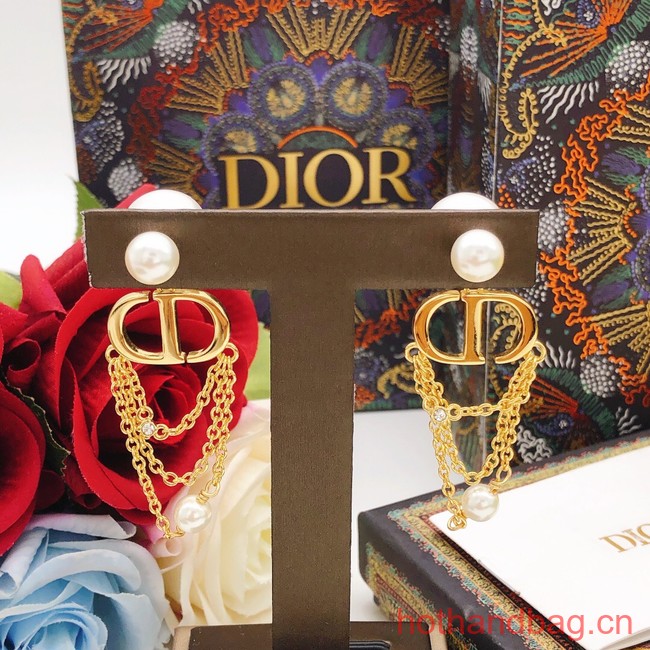 Dior Earrings CE12385