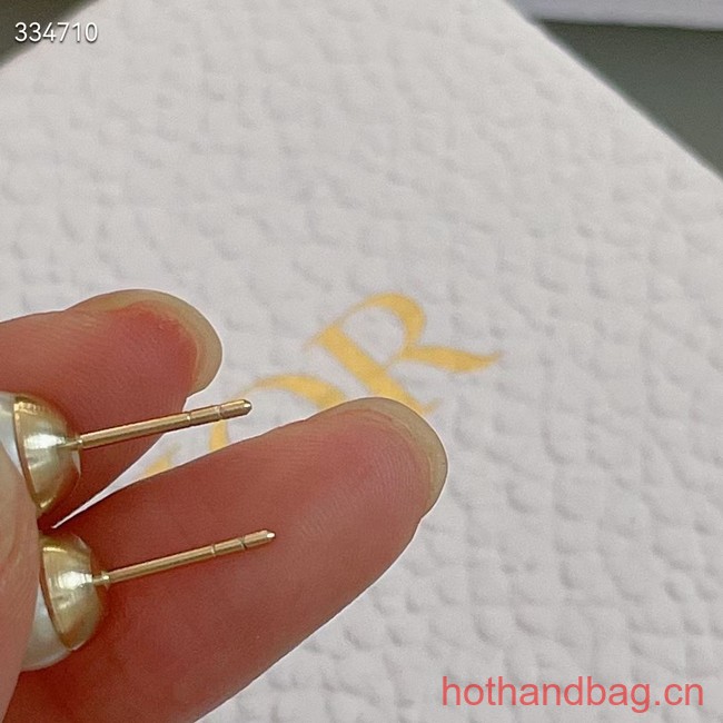 Dior Earrings CE12571