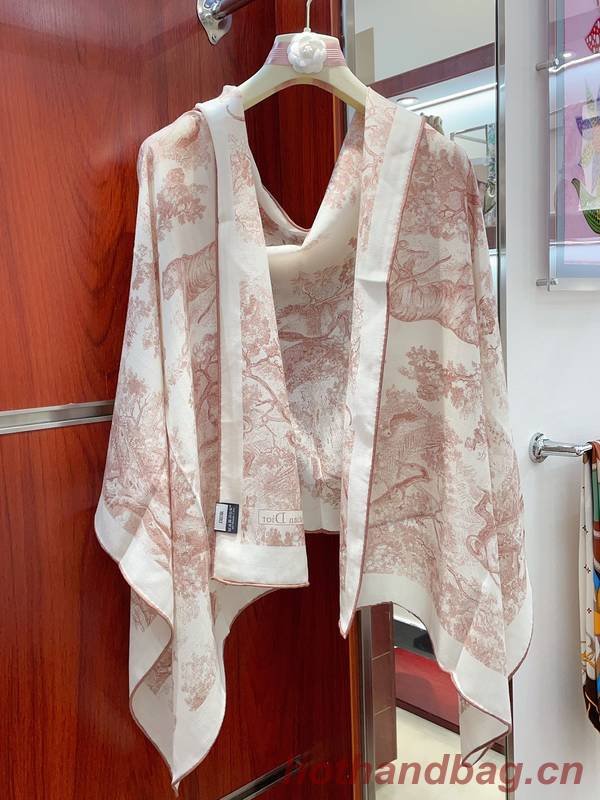 Dior Scarf DIC00225