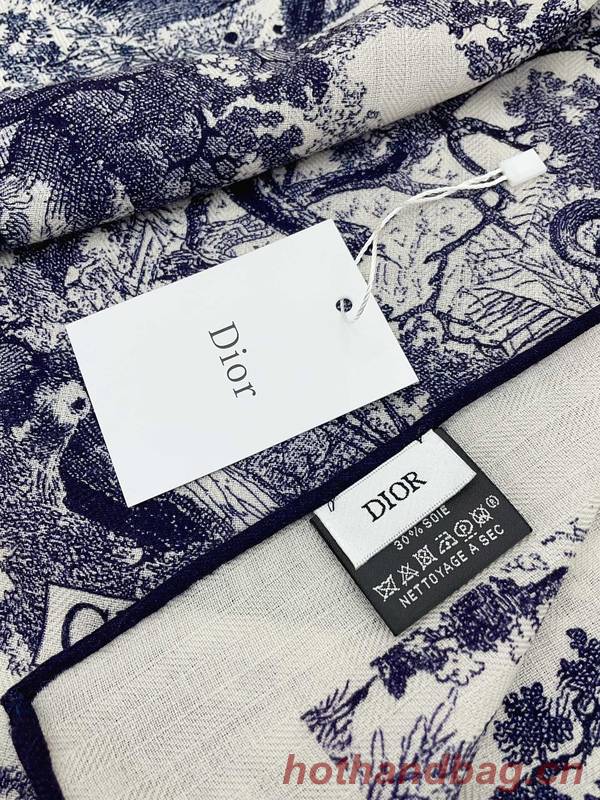 Dior Scarf DIC00228