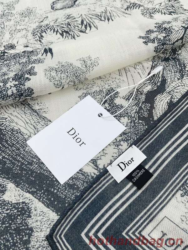 Dior Scarf DIC00324