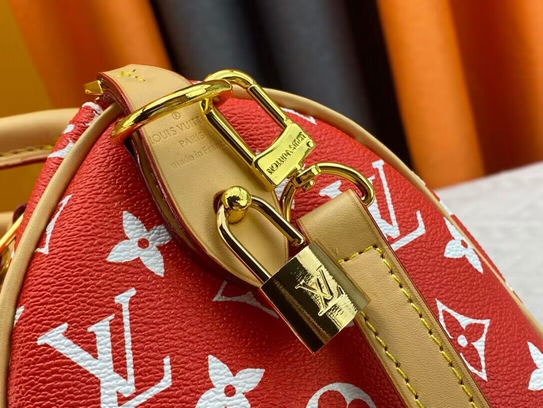 Louis Vuitton LV2024 Speedy 25 M24424 Red