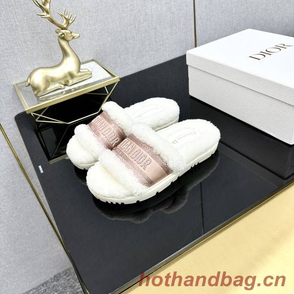 Dior Shoes DIS00321