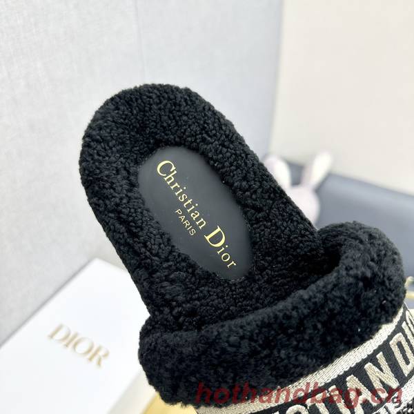 Dior Shoes DIS00335