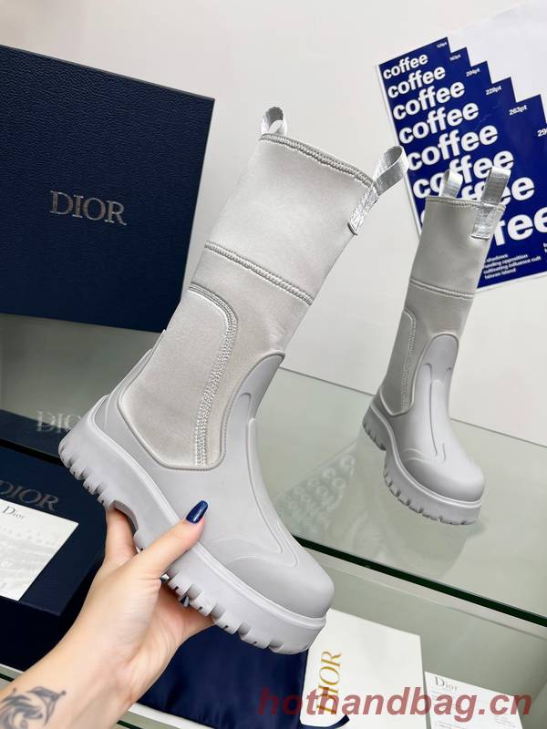 Dior Shoes DIS00413