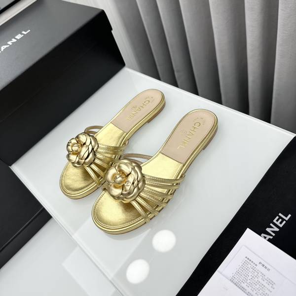 Chanel Shoes CHS02225