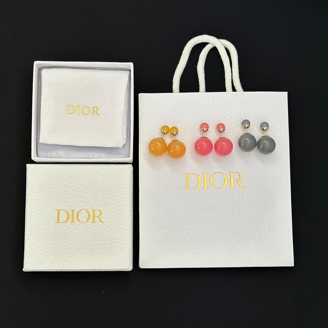 Dior Earrings CE13969