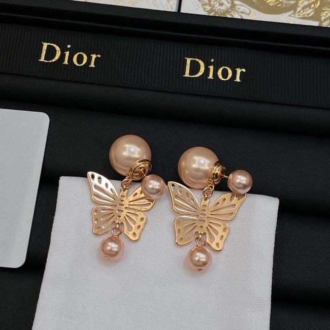 Dior Earrings CE14062