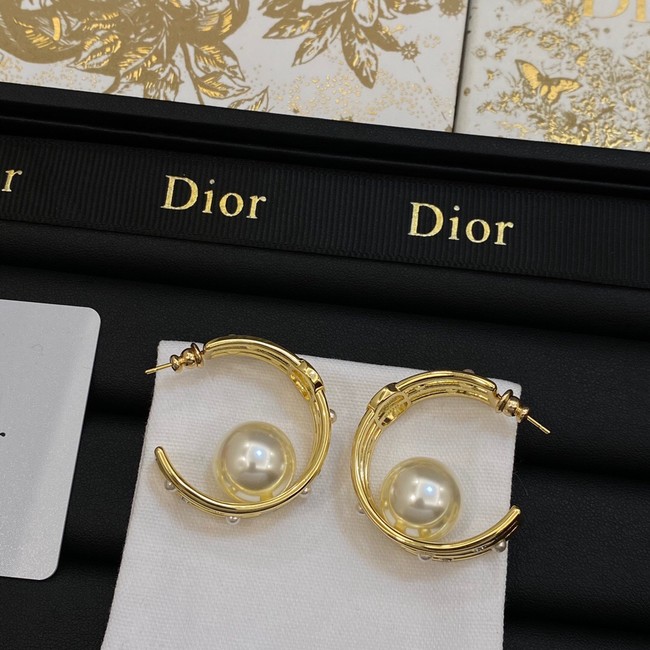 Dior Earrings CE14063