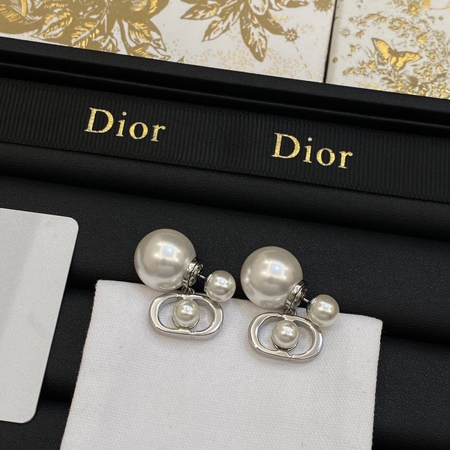 Dior Earrings CE14069