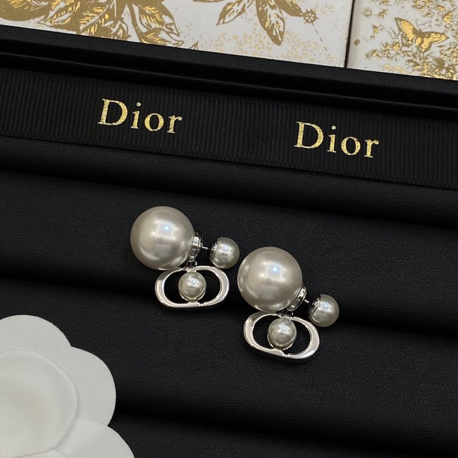 Dior Earrings CE14069