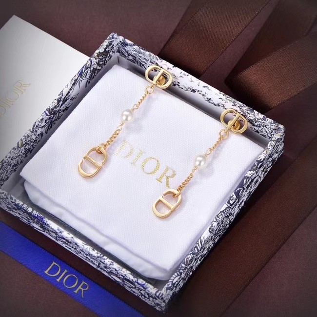 Dior Earrings CE14102