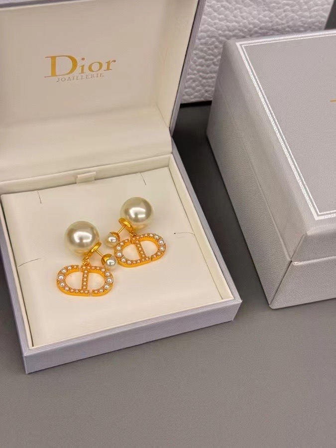 Dior Earrings CE14112