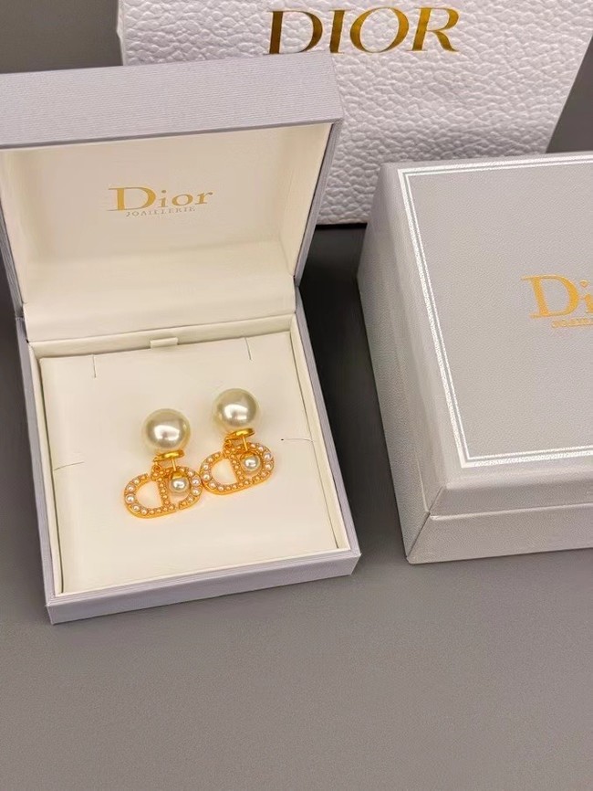 Dior Earrings CE14112