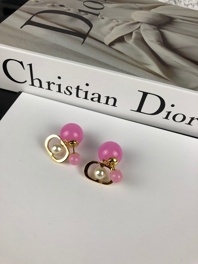 Dior Earrings CE14154