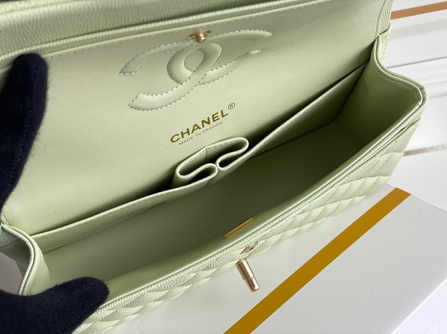 CHANEL CLASSIC 11.12 HANDBAG AS01112 LIGHT GREEN&GOLD Metal